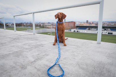 3609-prepinaci voditko 3